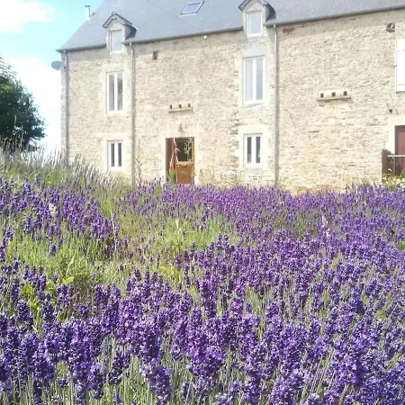Stone With Garden