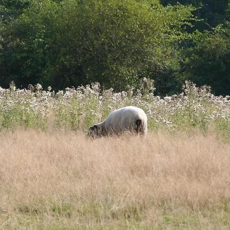 Дом отдыха Golden Light Escape