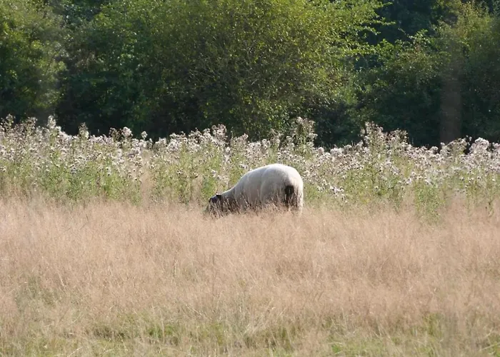 Vakantiehuis Golden Light Escape